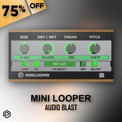 Mini Looper- Audio Blast Sale