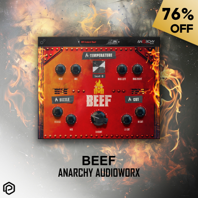 Beef - Anarchy Audioworx