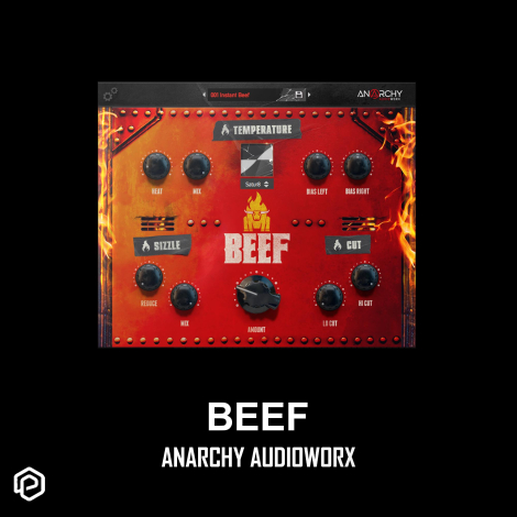 BEEF by Aanarchy Audioworx