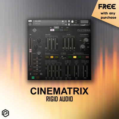 Cinematrix - Rigid Audio