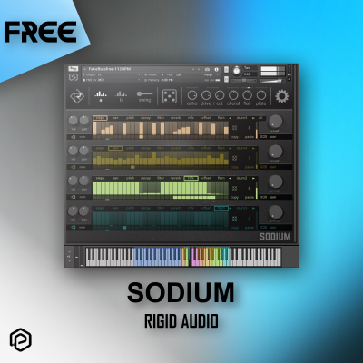 Rigid Audio - Sodium Free