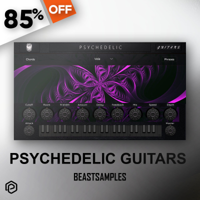 PsyGuitars - Beastsamples