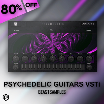 Psychedelic Guitars - Beastsamples