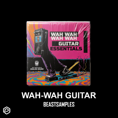 Wah- Wah Guitar Essentials by Beastsamples