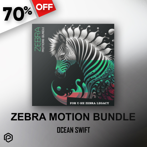 Zebra Motions Bundle by Ocean Swift